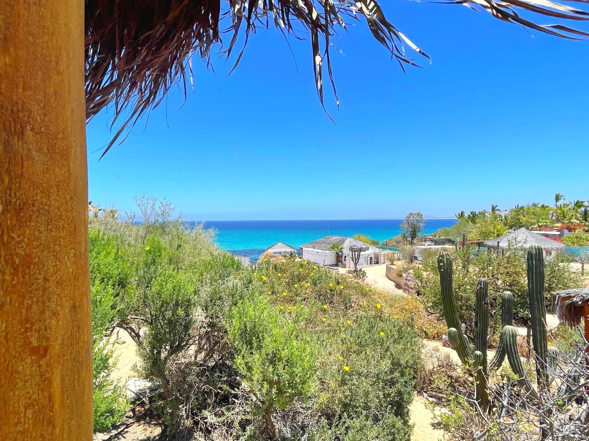 Palapas Ventana Hotell La Ventana Eksteriør bilde